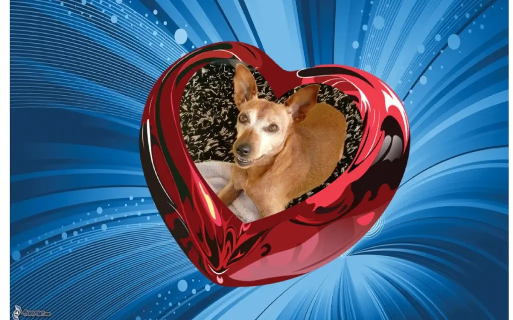 Andachtsbild von Jutta, Axel, Oscar und Rocky 