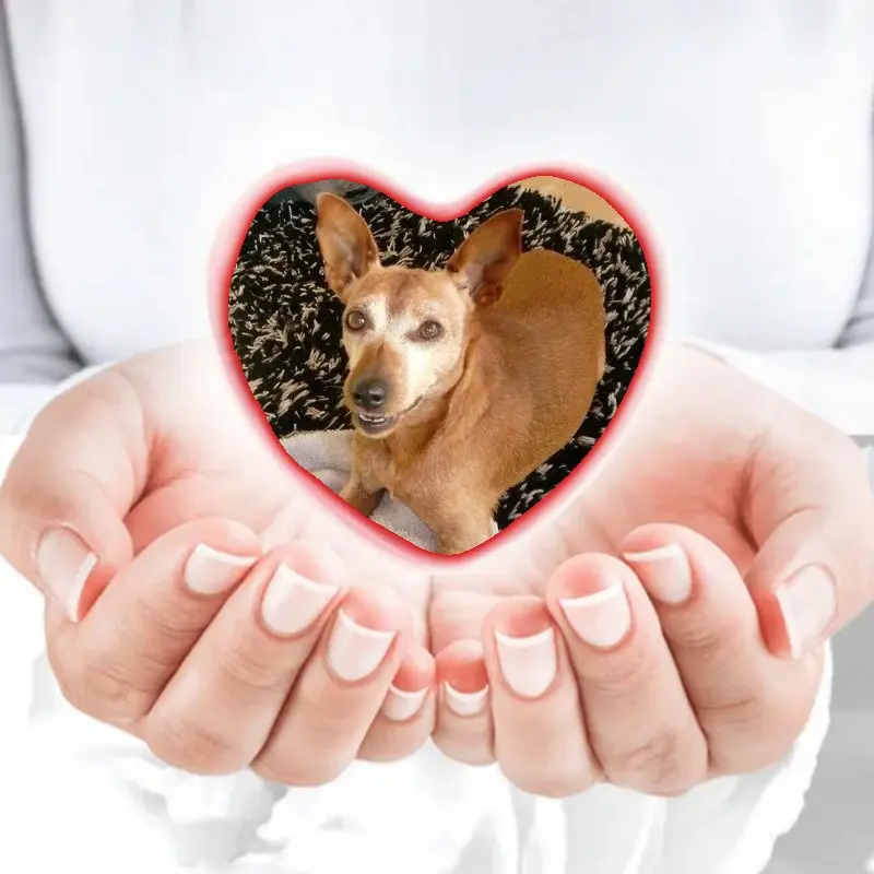 Andachtsbild von Jutta, Axel, Oscar und Rocky 