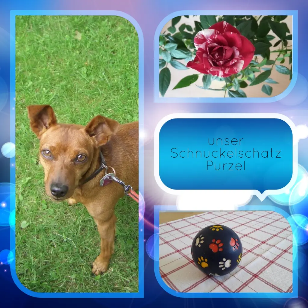 Andachtsbild von Jutta, Axel, Oscar und Rocky 