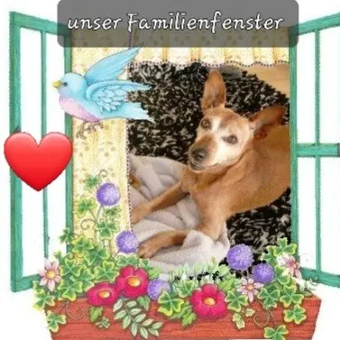 Andachtsbild von Jutta, Axel, Oscar und Rocky 