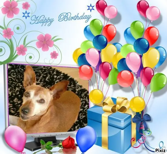 Andachtsbild von Tanja mit Timmy im Herzen 