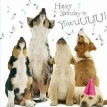 Andachtsbild von Rosen für Purzel zum 19. Geburtstag