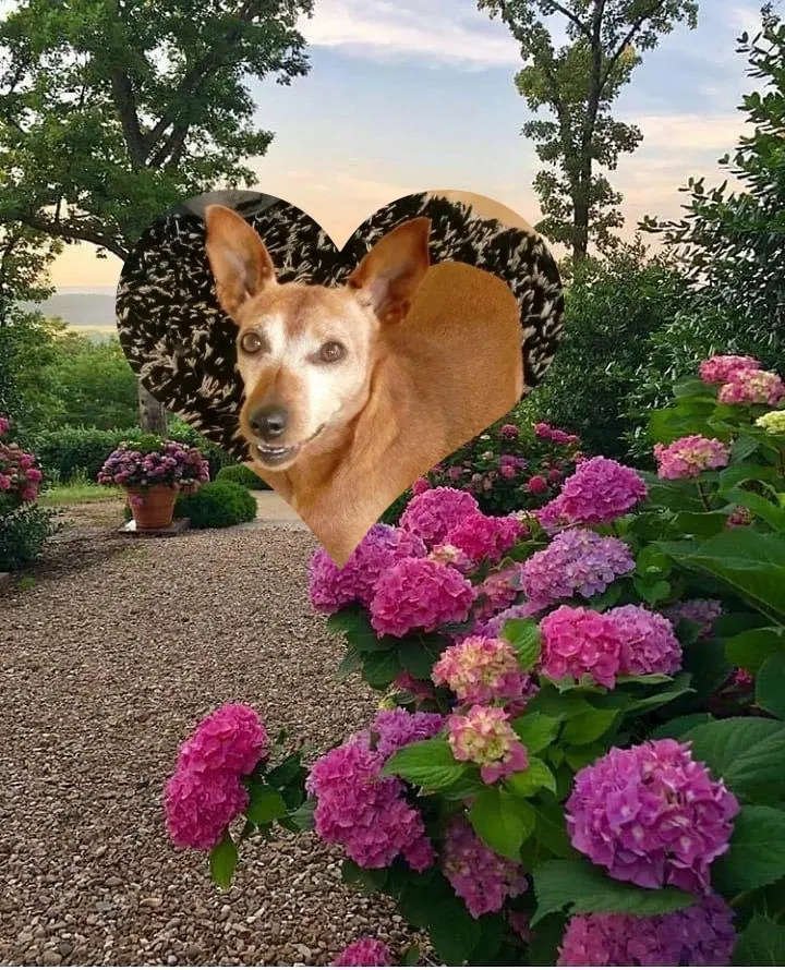 Andachtsbild von Jutta, Axel, Oscar und Rocky 