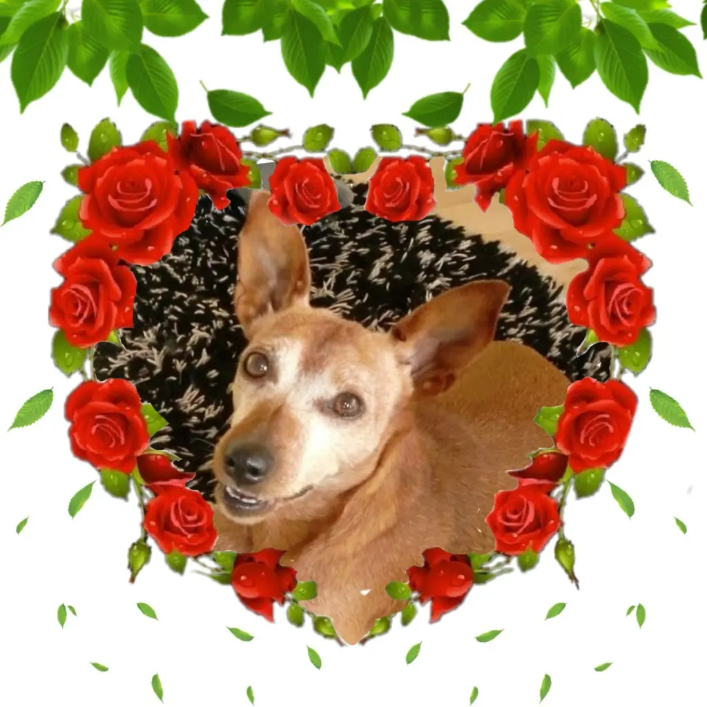 Andachtsbild von Jutta, Axel, Oscar und Rocky 