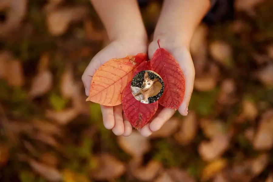 Andachtsbild von Jutta, Axel, Oscar und Rocky 