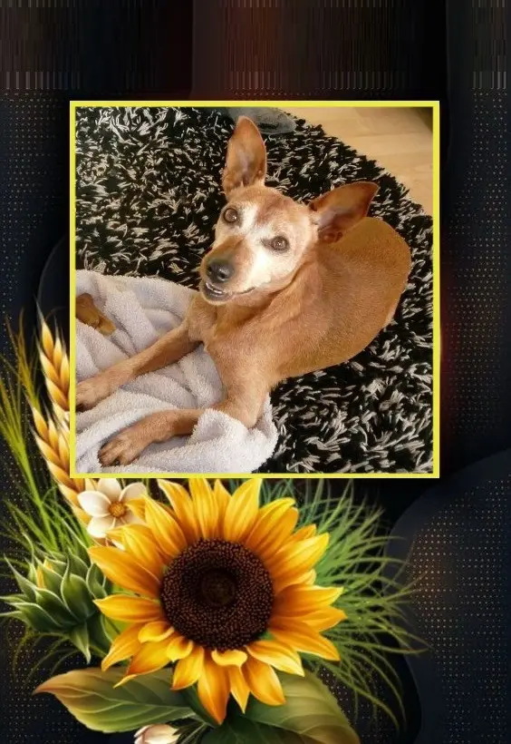 Andachtsbild von Jutta, Axel, Oscar und Rocky 