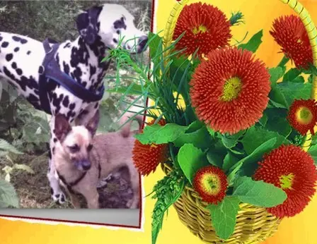 Andachtsbild von ♥️♥️♥️♥️♥️♥️