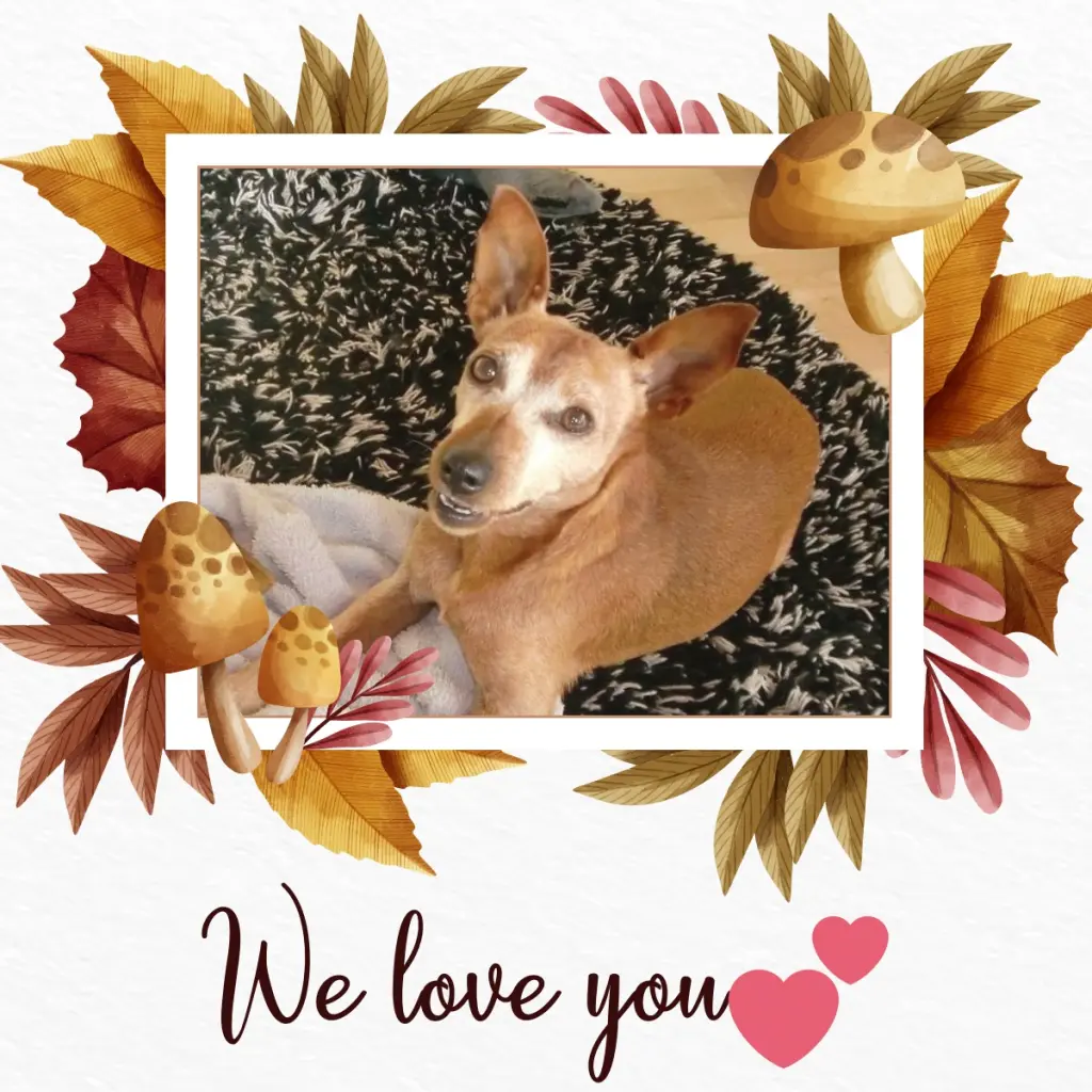 Andachtsbild von Jutta, Axel, Oscar und Rocky