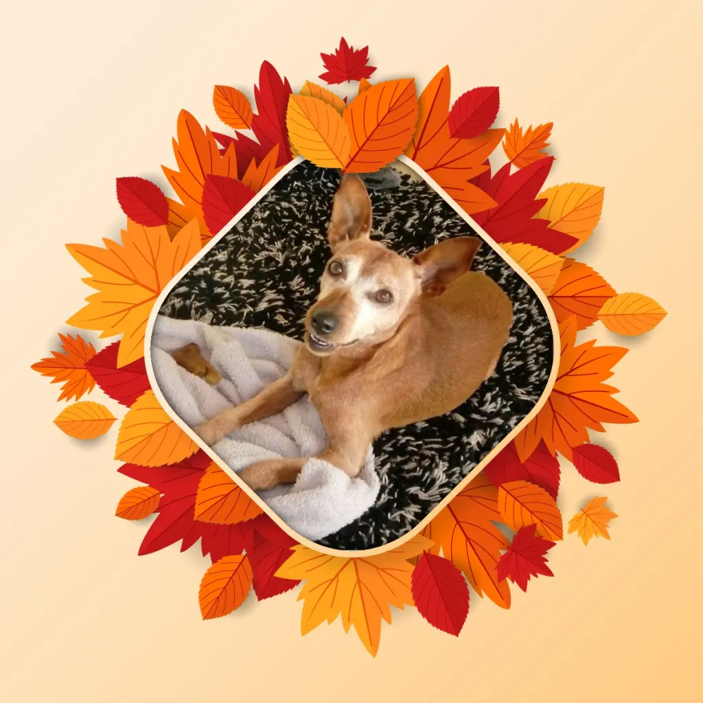 Andachtsbild von Jutta, Axel, Oscar und Rocky