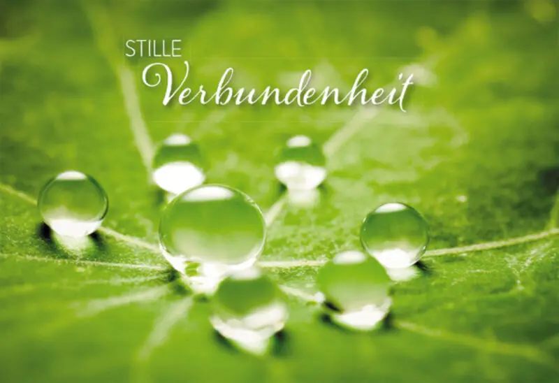 Andachtsbild von Gaby mit Snowy ❤️