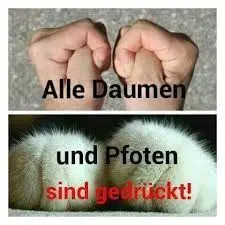 Andachtsbild von Unbekannt