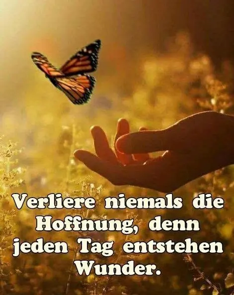 Andachtsbild von Für Rocky ❤️