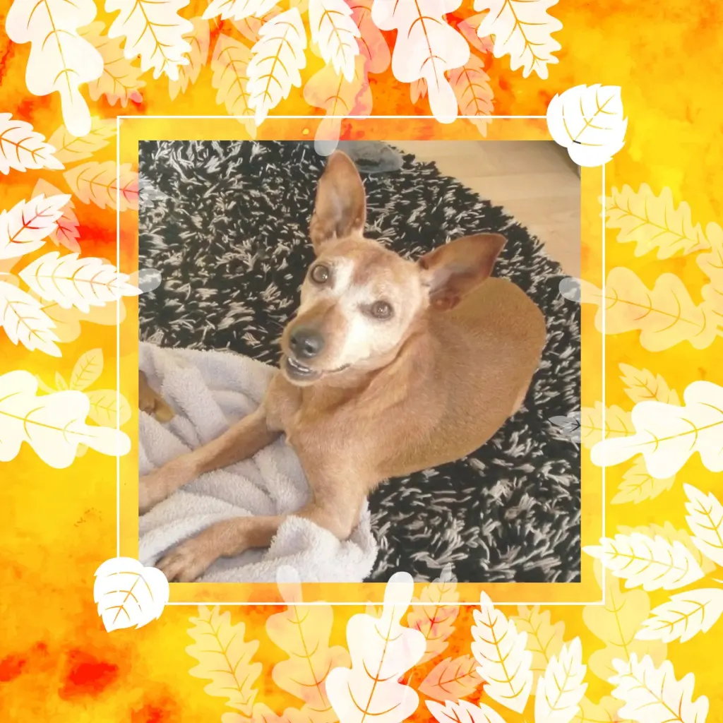 Andachtsbild von Jutta, Axel, Oscar und Rocky