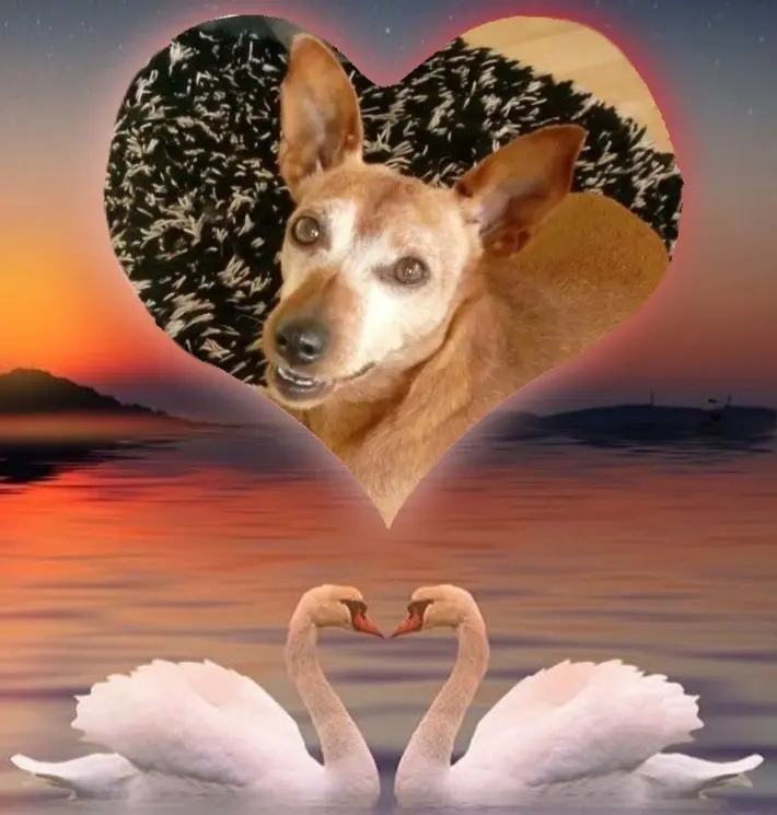 Andachtsbild von Jutta, Axel, Oscar und Rocky 