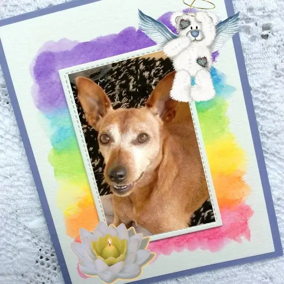 Andachtsbild von Jutta, Axel, Oscar und Rocky 