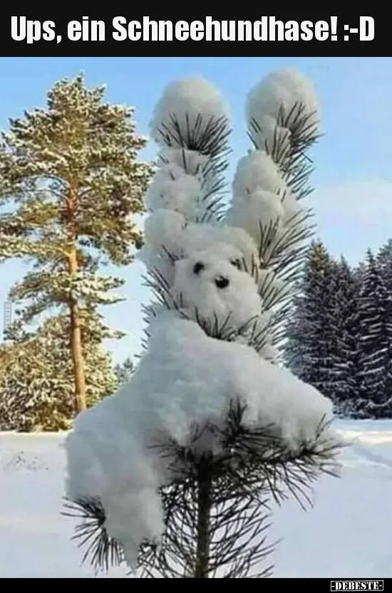 Andachtsbild von Fiby und der Rasselbande ❤️