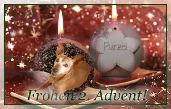 Andachtsbild von Jutta, Axel, Oscar und Rocky 