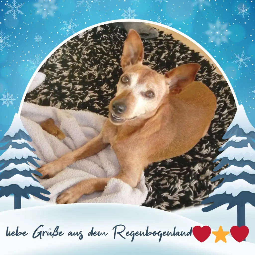 Andachtsbild von ❤️Grüße zum 3. Advent❤️