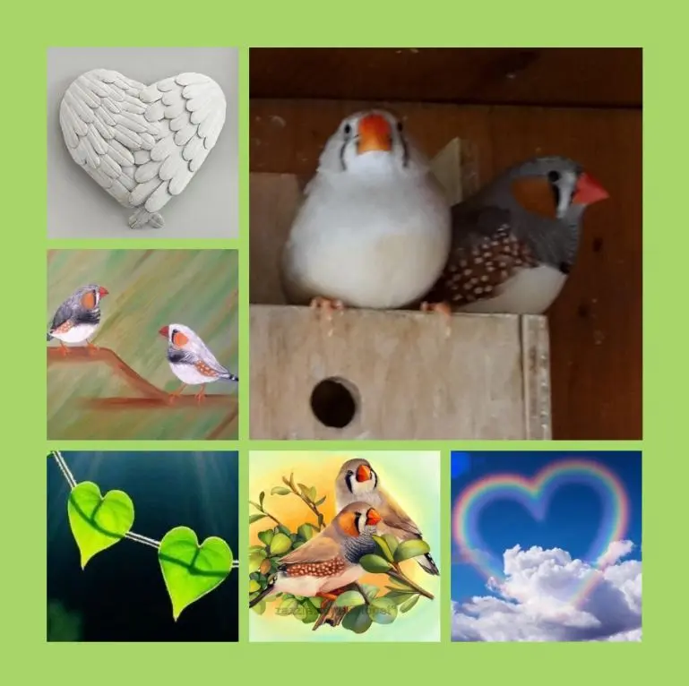 Andachtsbild von Rosen für Lobbi und Stinker zum 2. Sternchentag