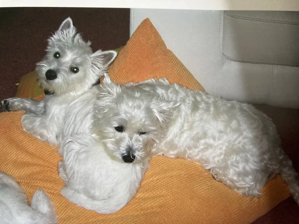 Andachtsbild von Sigrid 