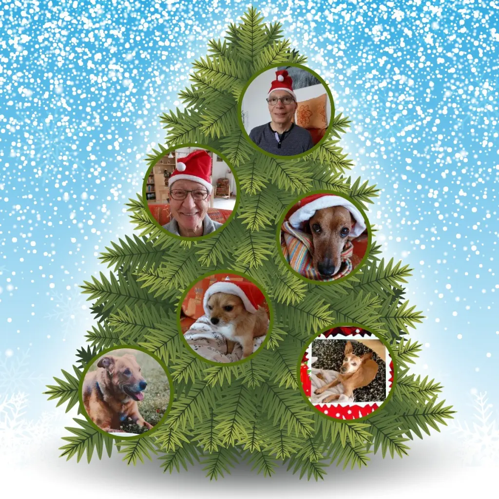 Andachtsbild von Jutta, Axel, Oscar und Rocky 