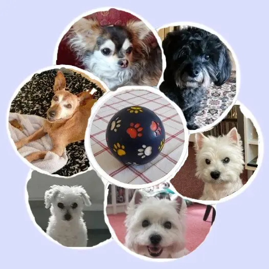 Andachtsbild von Jutta, Axel, Oscar und Rocky 