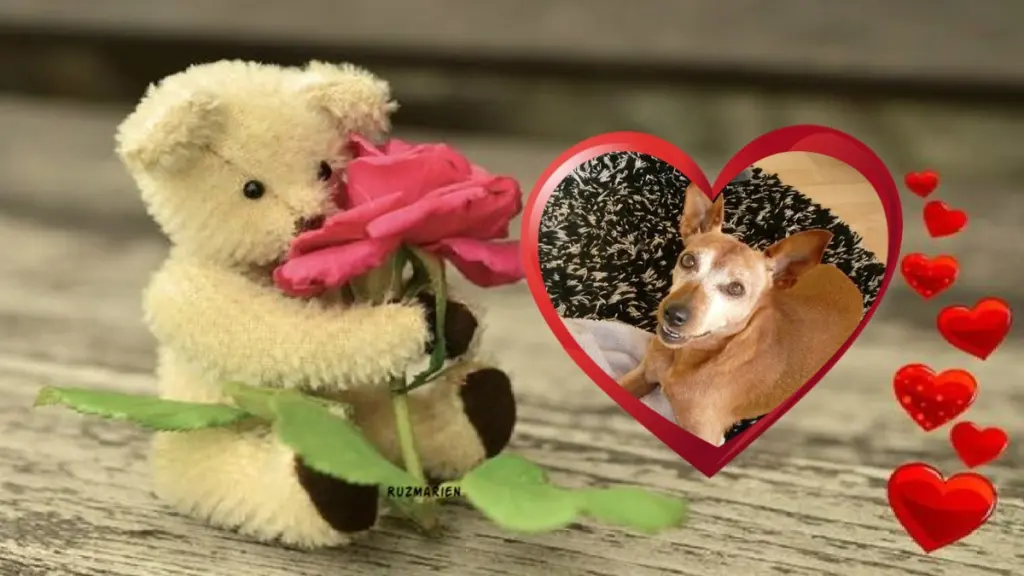 Andachtsbild von Sonntags❤️Rosen❤️❤️❤️❤️❤️❤️