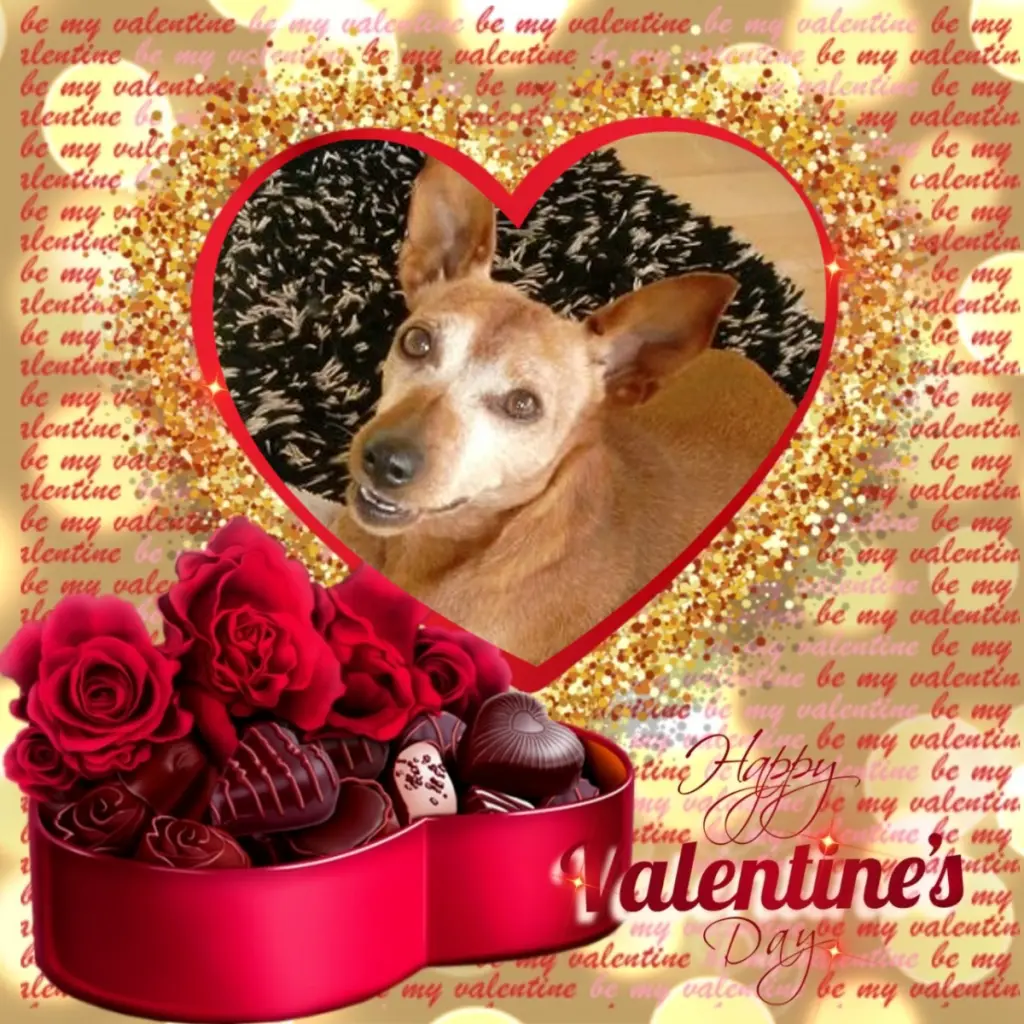 Andachtsbild von Valentins❤️Rosen❤️❤️❤️❤️❤️❤️❤️❤️