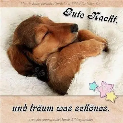 Andachtsbild von Unbekannt