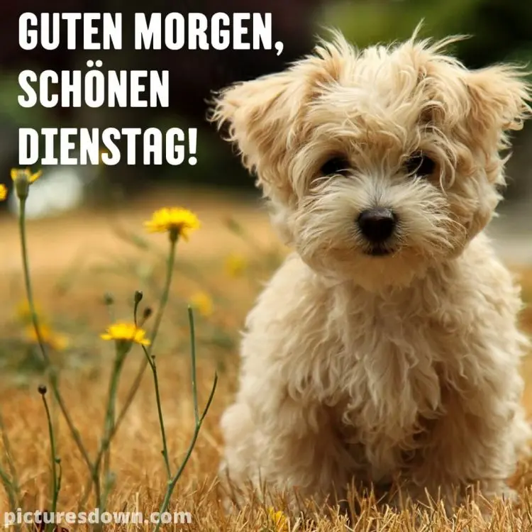 Andachtsbild von Elke und Horst mit Fiby ❤️