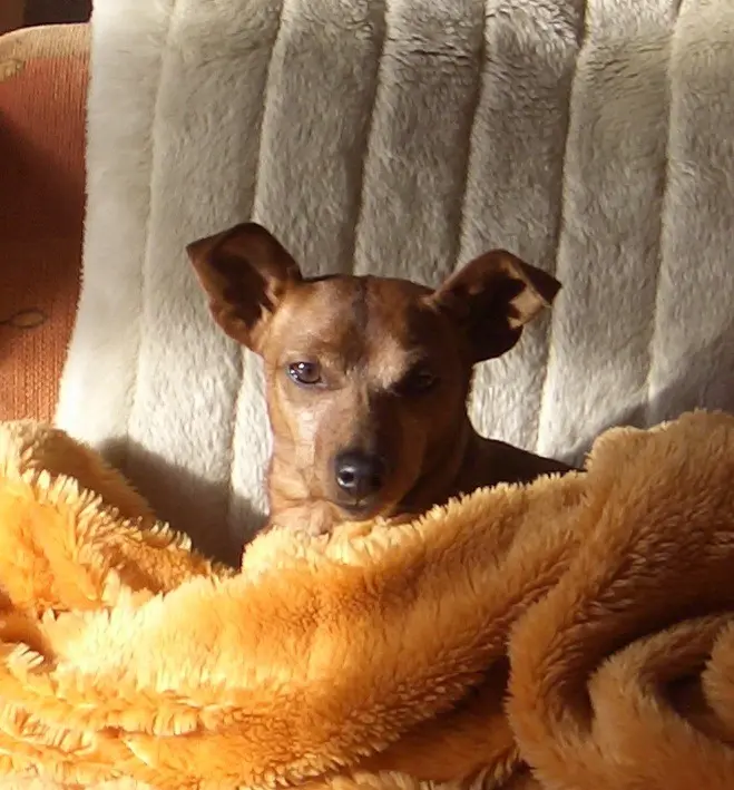 Andachtsbild von Jutta