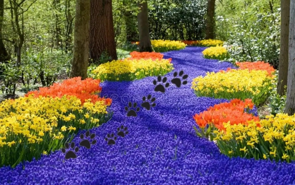 Andachtsbild von ♥️Snowy ❤️