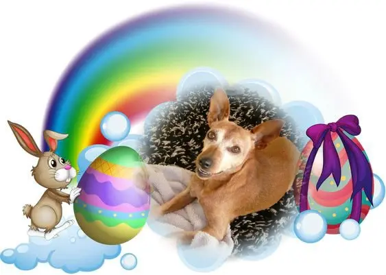 Andachtsbild von Liebe❤️❤️❤️OsterGruse❤️