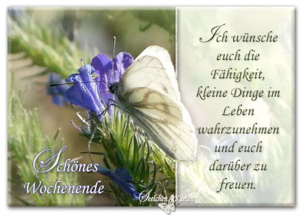 Andachtsbild von Elke und Horst mit Fiby tief im ❤️