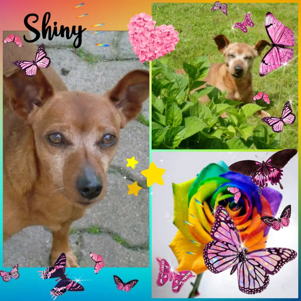 Andachtsbild von ❤️Eike und Edeltraud ❤️ 