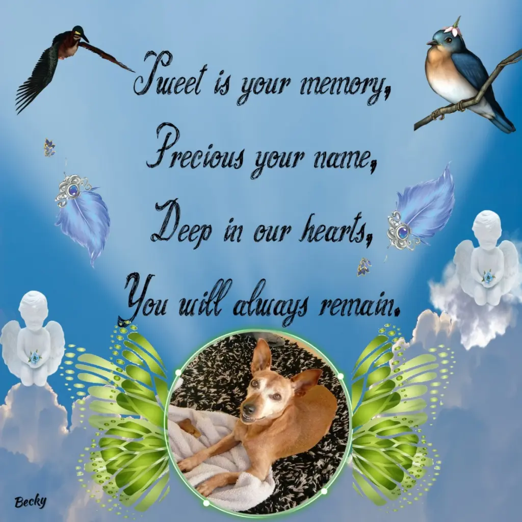 Andachtsbild von Gute Nacht❤️❤️❤️Mauschen❤️❤️❤️