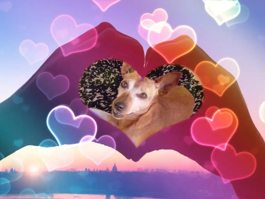 Andachtsbild von Fur Unsere Purzelchen❤️⭐️