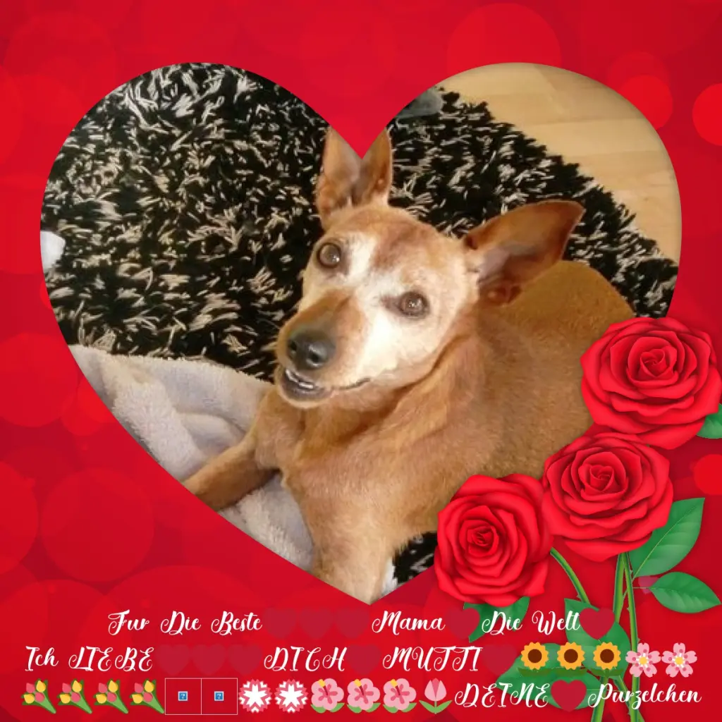 Andachtsbild von Fur Mama❤️