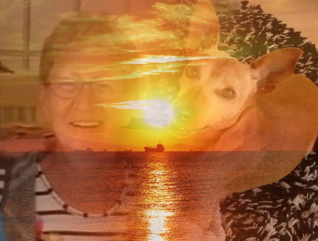 Andachtsbild von Fur Jutta❤️⭐️