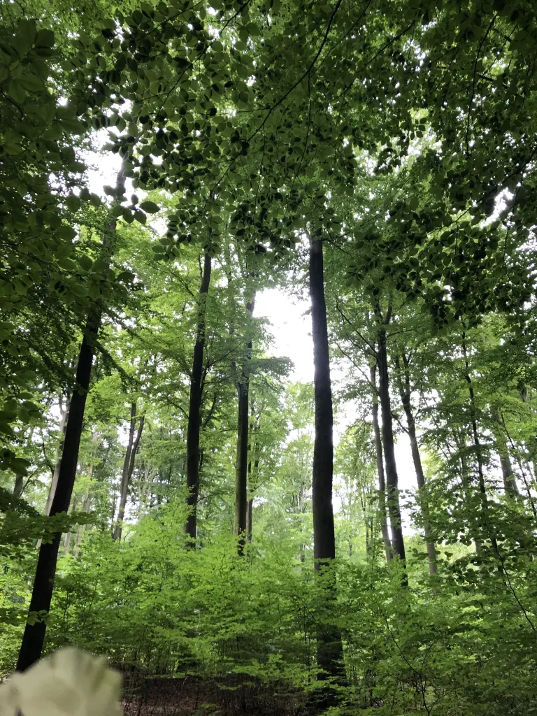 Andachtsbild von Unvergessen 