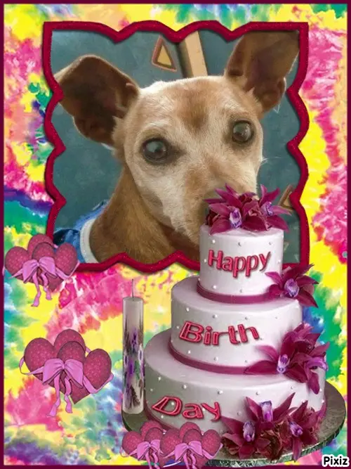 Andachtsbild von Tanja mit Timmy im Herzen 