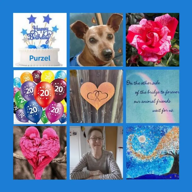 Andachtsbild von Viele Purzelrosen zum Geburtstag 