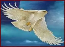 Andachtsbild von Eine Rose für Jutta