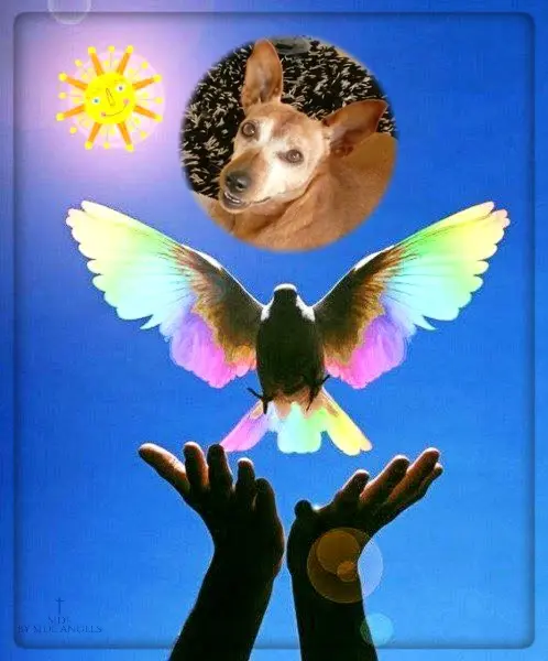 Andachtsbild von Freitags❤️Rosen❤️❤️❤️❤️❤️❤️❤️❤️