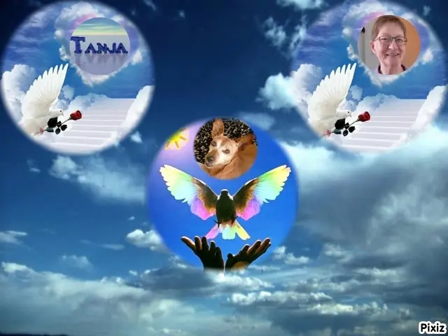 Andachtsbild von ❤️⭐️❤️⭐️❤️⭐️