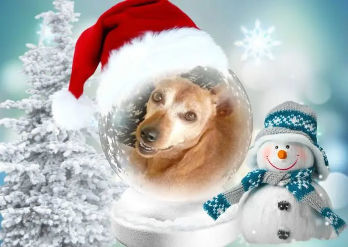 Andachtsbild von Nikolaus❤️fur Purzelchen❤️⭐️Jutta❤️⭐️und Tanja❤️⭐️