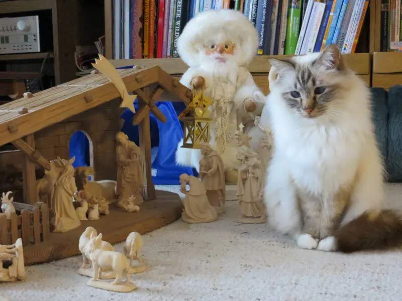 Andachtsbild von Ternchen-Weihnachtspost