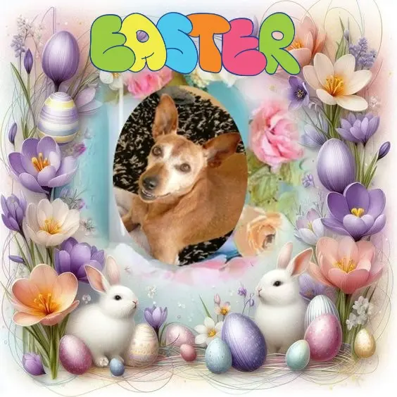 Andachtsbild von Frohe Ostern❤️❤️❤️