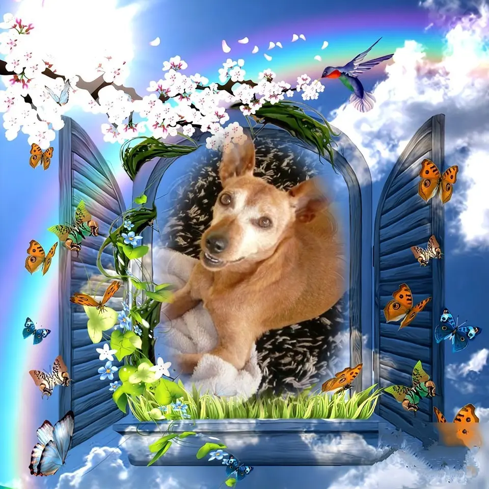 Andachtsbild von ❤️❤️❤️❤️❤️❤️❤️❤️❤️❤️❤️❤️