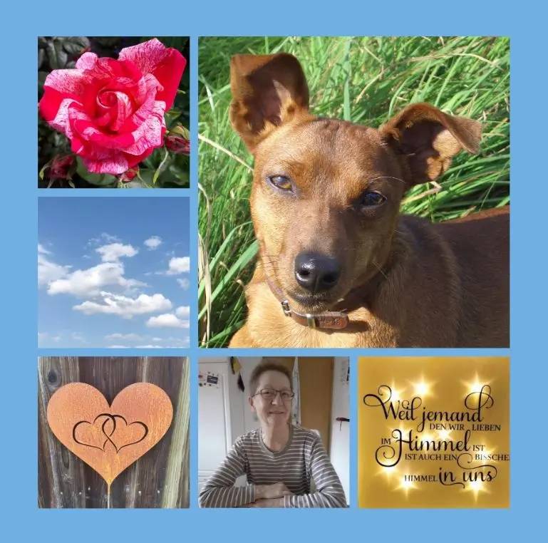 Andachtsbild von Zum 8. Sternchengedenktag für Purzel